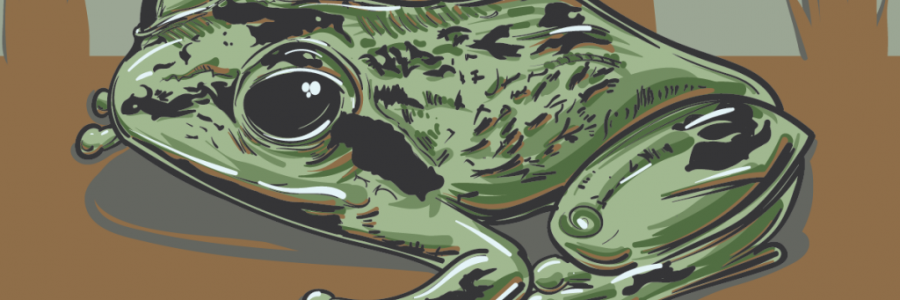 Humboldt Frog